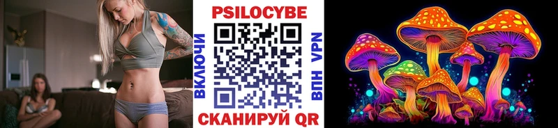 Галлюциногенные грибы Psilocybine cubensis  Карталы 